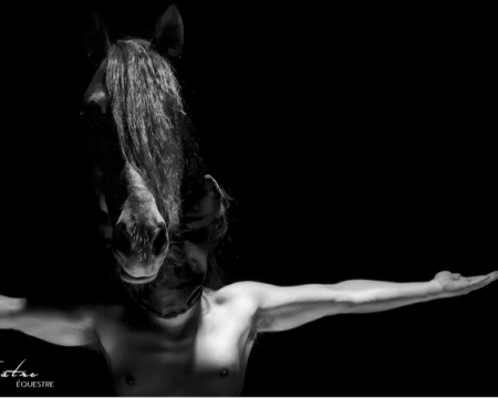 The horse is an actor