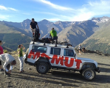 Mamut Sierra Nevada